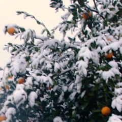 Orange Chill