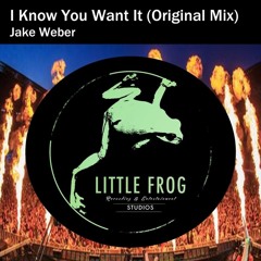 Jake Weber - I Know You Want It (Original Mix)