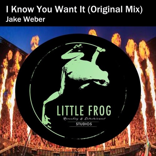 Jake Weber - I Know You Want It (Original Mix)