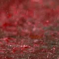 Asura - Rain In Vains [Visualization]