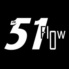 Standards - 51Flow