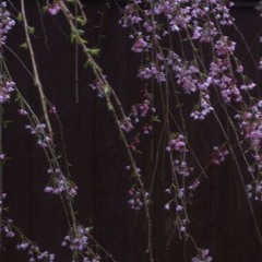 this is an absolute mess