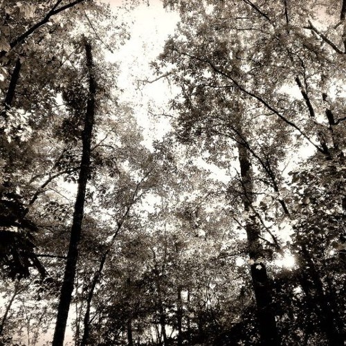 "Redundant" (Instrumental)