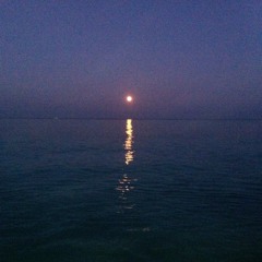 Sonata in B minor, L.33 -Domenico Scarlatti