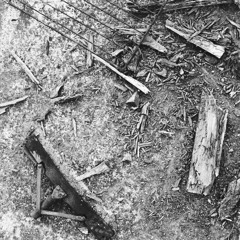 Conquistar la rabia 1