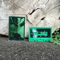GREEN ASSASSIN DOLLAR / SMARAGDUS BEAT TAPE "snippet"