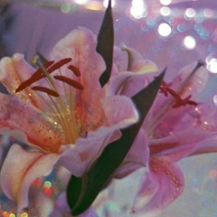 Ｌｏｓｅ Ｙｏｕｒｓｅｌｆ ♡