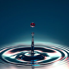 Drip Drop (Freestyle) T-Rex, HaydoTheOG, taterthatass