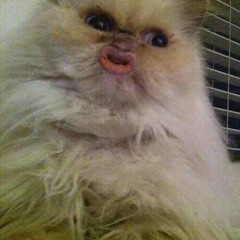 Schön schnute ziehen