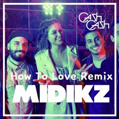 Cash Cash - How To Love ft. Sofia Reyes - Midikz Remix