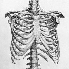Propulsión Humana - Nimb (Maqueta)