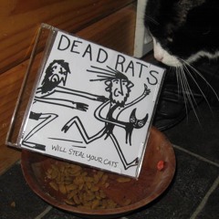 Tortoise and the Hare