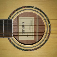 Inside the noise stick