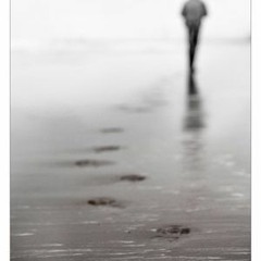 Fade Away Rebelution