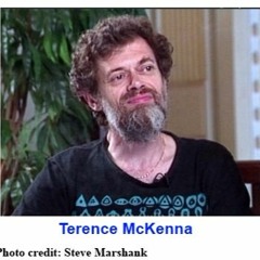Opening The Doors Of Creativity - Terence McKenna