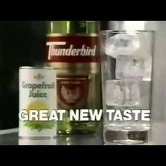 ICE COLD THUNDERBIRD (feat. Shaolin Afronauts)