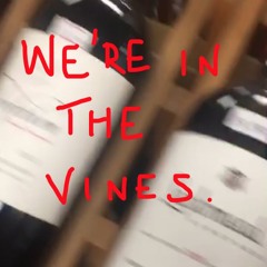 in the vines ep 4 Burg Ravensburg pinot noir 2013