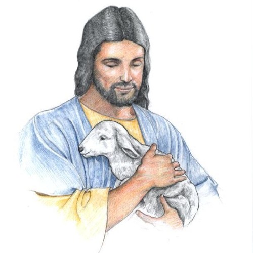 MOHAMMED ( The Authentic One ) / SOT