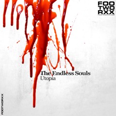 05 - The Endless Souls & Maverick - Crazy With The Kicks - FWXXDIGI035 (PREVIEW)