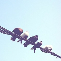 Hong Kong Freestyle (Prod. SUGOY)