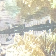 GBONN3Y - IBIZA FORTE !