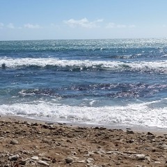 Home (Prod. By DNA BEATZ)