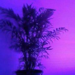 Keeps You Up At Night