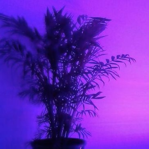 Keeps You Up At Night