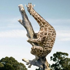 Chill funky old school hip hop