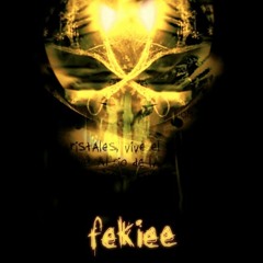 Seek and Try