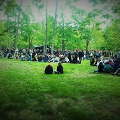 FILMRISS 1. Mai. 2016. MichaelChecktsNet