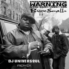 Biggie Smalls - Warning (UniverSoul Remix)