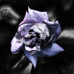 deadflwrz. (Prod. P.SOUL)