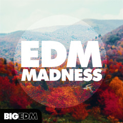 EDM Madness [I'm the DJ Mobile App]