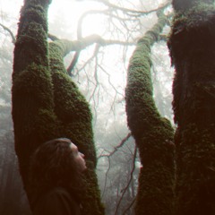 Running Through The Forest