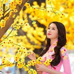 Nang Xuan - Chi Dan