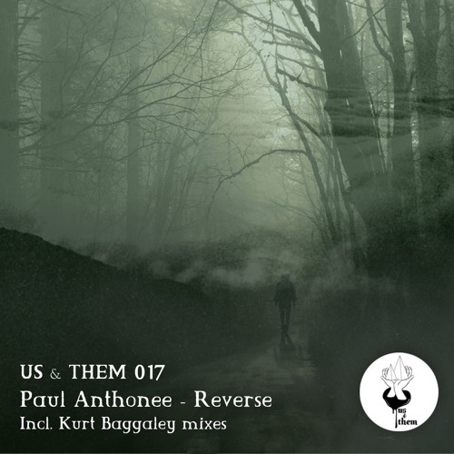 PAUL ANTHONEE - HEARTFIELDS (KURT BAGGALEY'S  FIELD TRIP PART ONE REMIX) ***snippet***