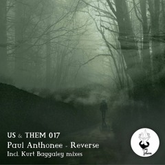 PAUL ANTHONEE - HEARTFIELDS (ORIGINAL MIX) ***snippet***