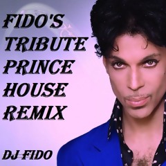 FIDO'S TRIBUTE PRINCE HOUSE REMIX