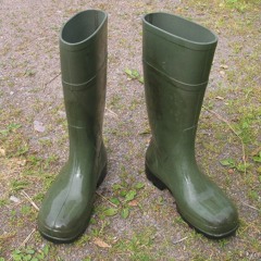 Fairies Usam Botina (Fairies Wear Boots Cover)