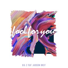 Big Z - Fool For You (ft. Jackson Breit)