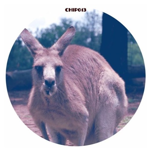 Dr Cryptic - Skippy (Vital Techniques Remix) - OUT NOW!