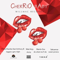 Shaka Shamba feat. Anthony B - Reggae A Get A Fight [Cherrio Baby Riddim | Willmac Records 2016]