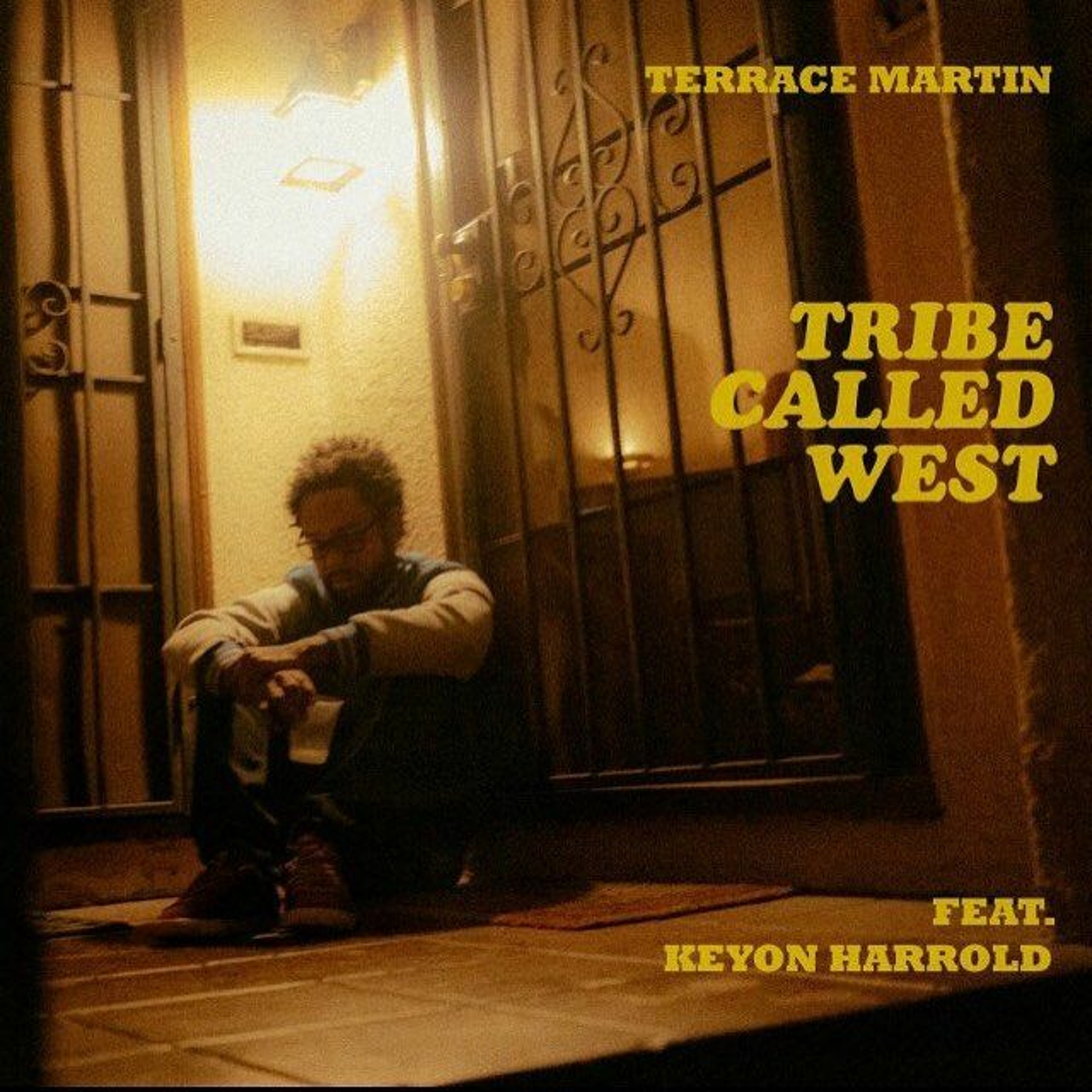 Terrace Martin