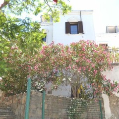 Bodrum Eskiçeşme Satılık Ev