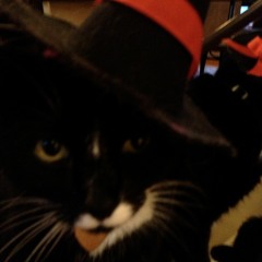 Indie Comedy // Games