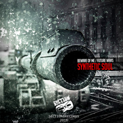 Synthetic Soul - Future Wars [SECTION8092D]