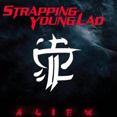 Strapping Young Lad - Love (By Reza)