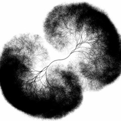 Acid Loops