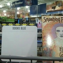 birds of a feather flock together.wma